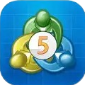MT5